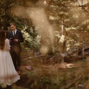 Forest wedding Forest wedding