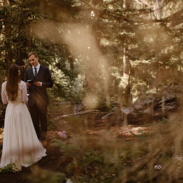 Forest wedding Forest wedding