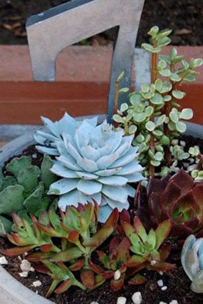 floral wedding centerpiece idea