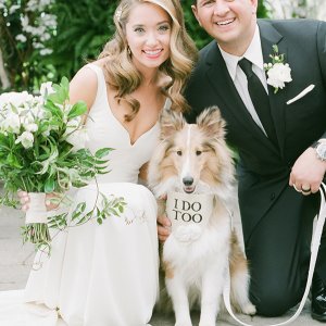 dogs in weddings dogs in weddings