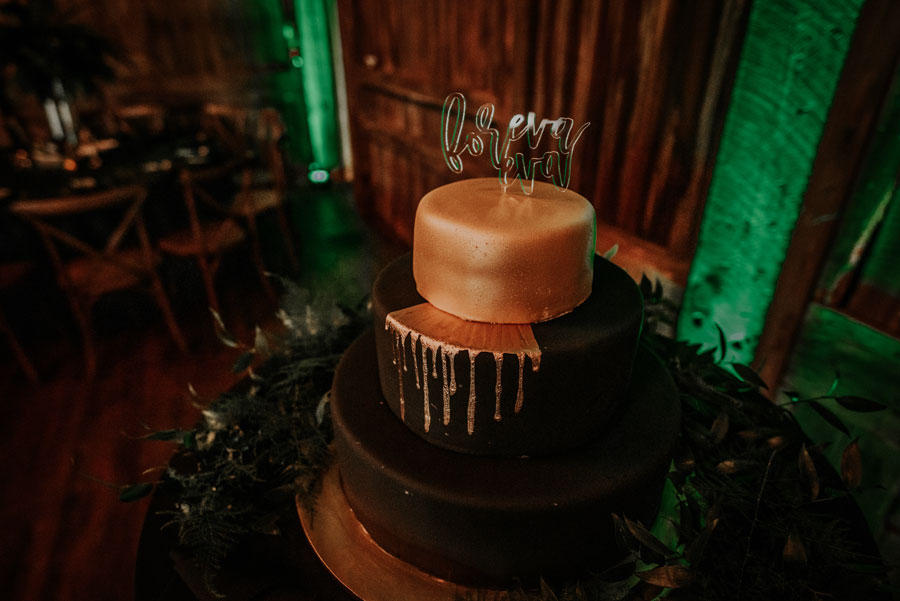 Jurassic Park Theme Wedding Wedding Cake
