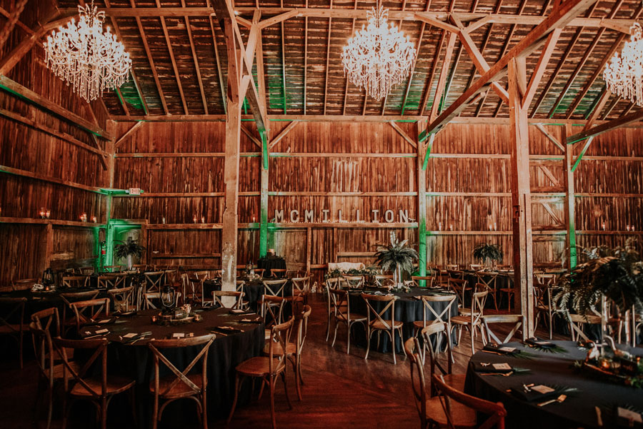 Jurassic Park Theme Wedding Jurassic Park Wedding Reception