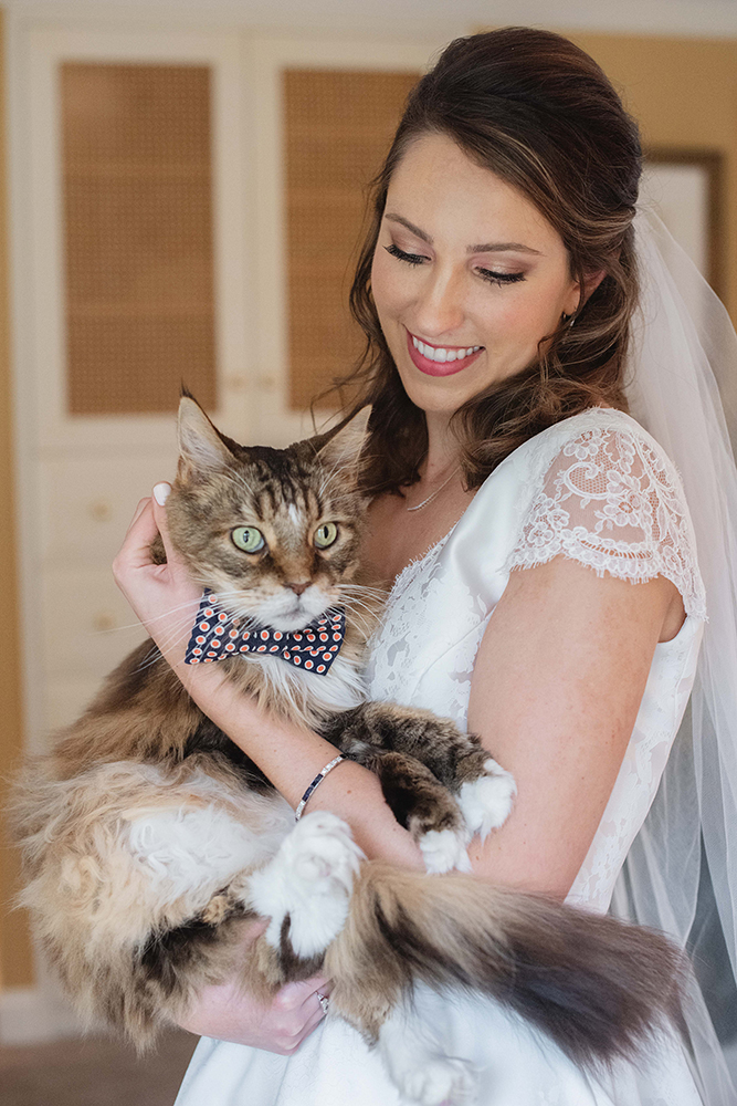 cat and bride cat and bride
