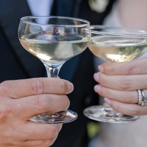 wedding toast wedding toast