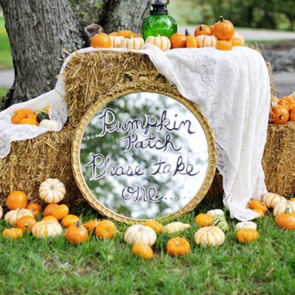 pumpkin wedding decorations pumpkin wedding decorations