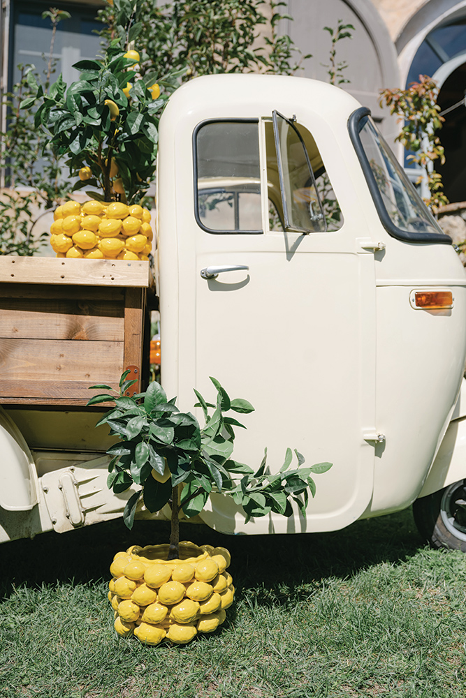 wedding pool party wedding pool party